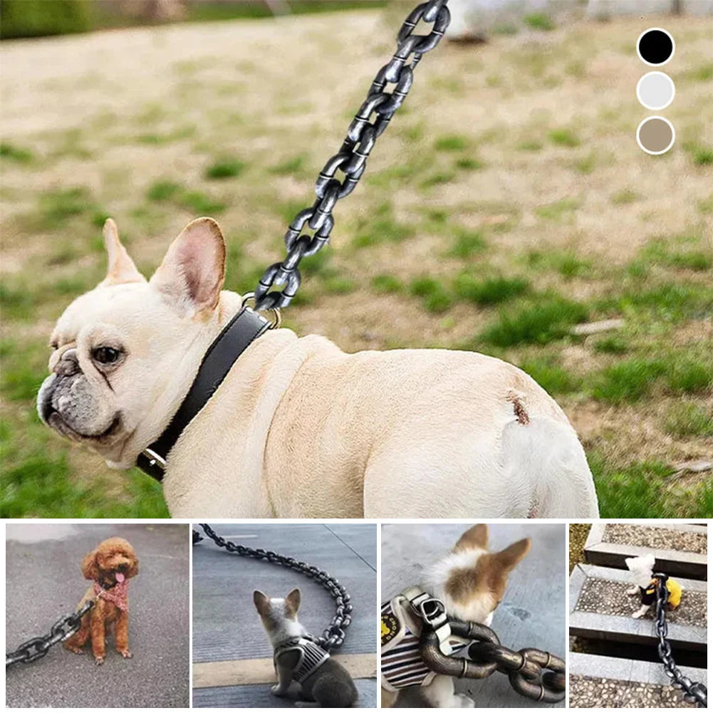 Funny Dog Leash for Pet Fun