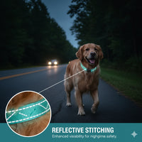 GlowSafe AirTag Collar