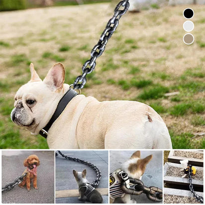 Funny Dog Leash for Pet Fun