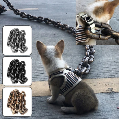 Funny Dog Leash for Pet Fun