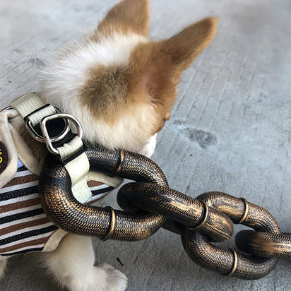 Funny Dog Leash for Pet Fun