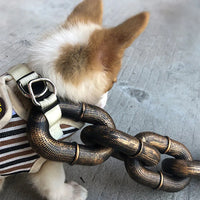 Funny Dog Leash for Pet Fun