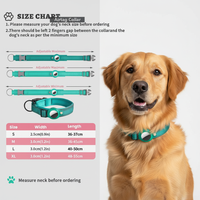 GlowSafe AirTag Collar