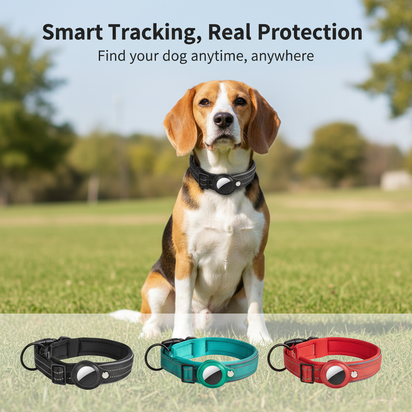 GlowSafe AirTag Collar