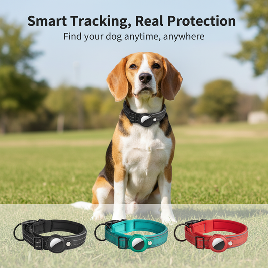 GlowSafe AirTag Collar