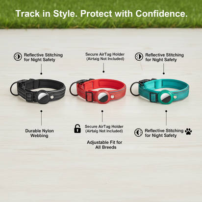 GlowSafe AirTag Collar